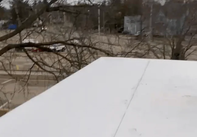 A white surface with snow covers the ground, and a tree branch is visible in the background.