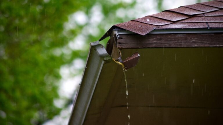 Roof gutter in a stat of disrepair