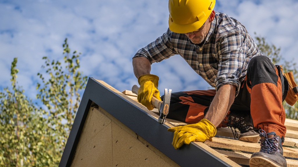 Professional Roof Contractor