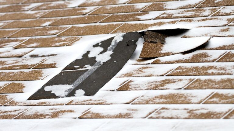 Damaged roof shingles
