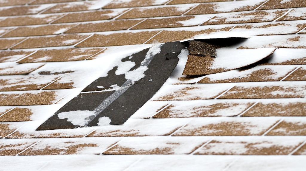 Damaged roof shingles